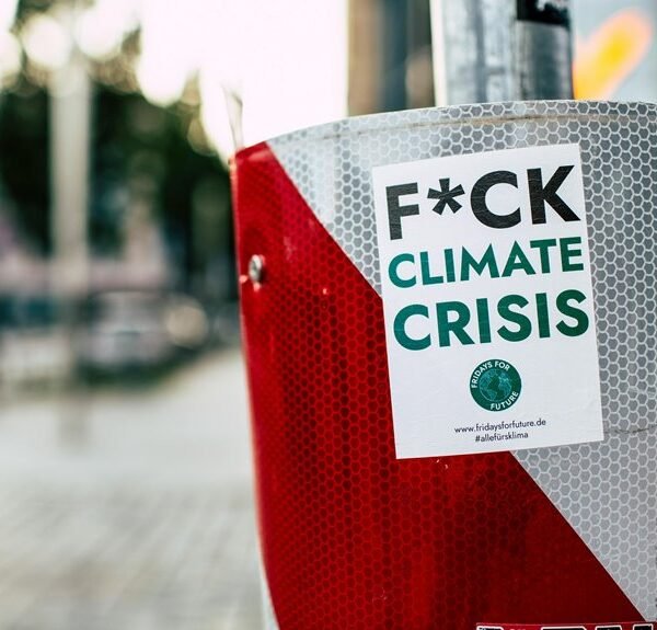 expert traffic increase campaigns