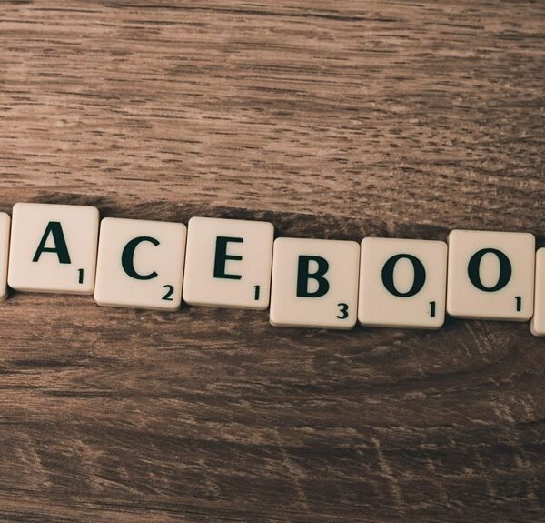 premium seo services offered